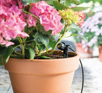 systeme de goutte à goutte pour plante